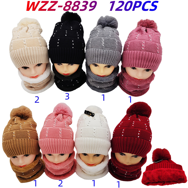 WZZ-8839 CS120